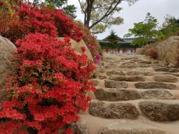 크기변환_20180422_090521.jpg