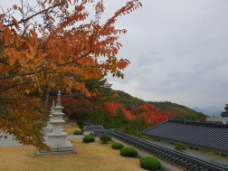 크기변환_20181026_134841.jpg